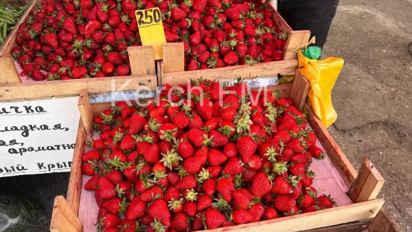 Новости Керчи: Клубничный бум: центральный рынок Керчи заполонила спелая ягода