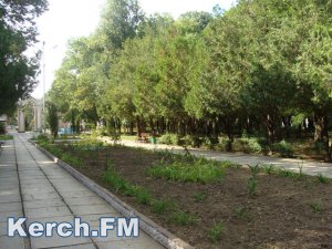 В Керчи парк в Аршинцево частично привели в порядок