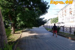 Почему в Керчи на улицах не обрезают деревья?