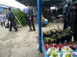 В Керчи началась продажа новогодних елок