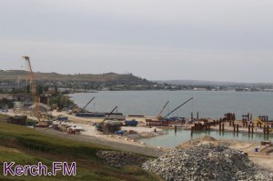 Керченский мост разрушит экосистемы, - считают украинские специалисты