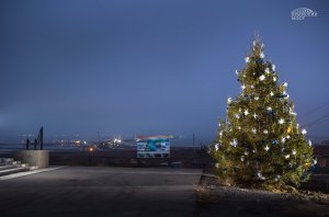 В районе Керченского моста строители посадили новогоднюю елку