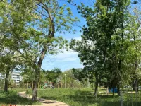 В парке Гагарина  в Керчи необходимо покосить траву