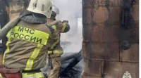 На пожарах в Крыму спасли более 60 человек с начала года