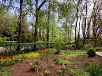 Новости Керчи: Керчане нашли уникальный парк в Северном Крыму