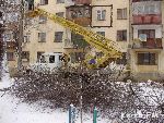Новости » Коммуналка: Из-за упавшего дерева три пятиэтажки остались без света