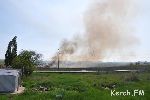 Новости » Криминал и ЧП » Экология: Горящие камыши открыли в Керчи сезон пожаров