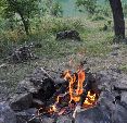 Новости » Экология: В лесах Крыма туристов штрафуют за разведение костров