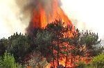 Новости » Криминал и ЧП » Экология: МЧС не может потушить пожар в Ялтинском заповеднике. Дороги на Ай-Петри перекрыты