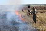 Новости » Криминал и ЧП » Экология: Общественники Керчи тушили степной пожар