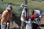 Новости: На Генеральские пляжи высадился экодесант