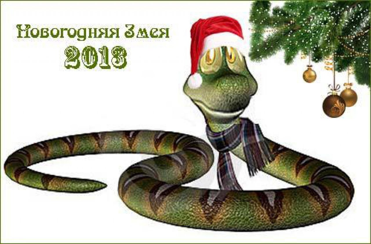 2013 какой змеи. 2013 Год змеи. Новогодняя змея. Новогодняя змейка. 2013 Год это год.
