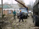 Новости » Коммуналка: В Керчи из-за необрезаных веток деревьев целая улица осталась без электричества