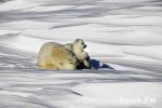 Новости » Культура: В Керчи откроется выставка известного итальянского фотохудожника