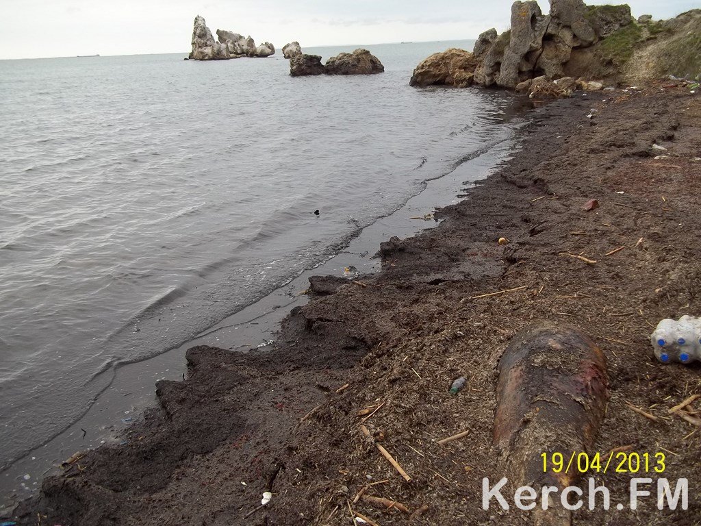 В Крыму на берег выбросило дельфина.