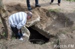 Новости » Общество: Черные археологи в Керчи раскопали древний склеп