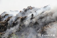 Новости » Криминал и ЧП » Экология: В Керчи серьезный пожар на городской свалке