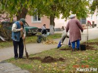 Новости » Общество: Жители Героевки высадили аллею памяти героям Эльтигена