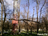 Новости » Криминал и ЧП: В Керчи падают деревья и ветки. Керчане, будьте осторожны!