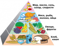 Новости » Экономика: Продукты в детские сады Керчи в этом году поставлялись по рыночным ценам, - горсовет