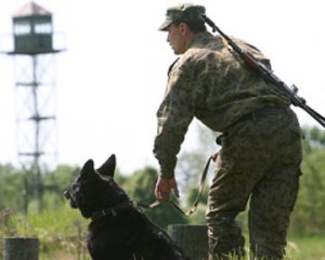 Новости » Общество: Перед Олимпийскими играми в Керчи усилят контроль на границе