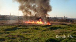 Ты репортер: В Керчи горящие камыши напугали людей