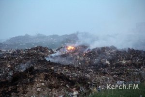 Новости » Экология » Общество: Власти Керчи обещают привести в порядок городскую свалку