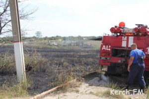 Новости » Общество: В Керчи горело поле