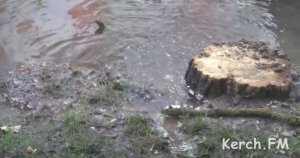 Новости » Коммуналка: На ул.Толстого в Керчи почти неделю водопроводная вода подтопляет дом