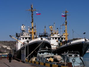 Новости » Общество: В Черном и Азовском морях начался промысел бычка и шпрот