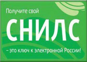 Новости » Общество: Пенсионный фонд в Керчи информирует о выдаче СНИЛС