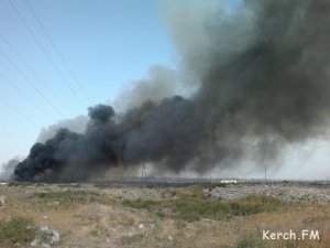 Новости » Экология: В Керчи от горящей свалки валит черный дым (видео)