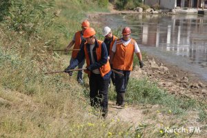 Новости » Общество: Керчане вместе с МЧС приняли участие в уборке мусора на пляже «Черепашка»