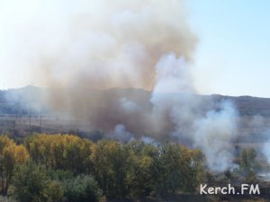 Ты репортер: В Керчи возле жилого дома  горел камыш