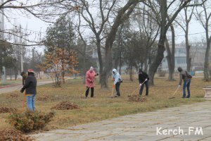 Новости » Общество: В Керчи работники исполкома вышли на субботник