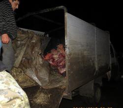 В Крым из Украины пытались ввезти говядину под сеном