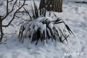 Новости » Экология: Сегодня в Керчи мороз  -11 градусов и снег