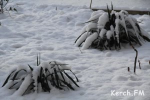 В Керчи на праздники замерзли двое бездомных