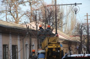 Новости » Общество: В Керчи пилят верхушки деревьев