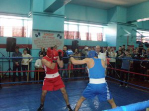 В Керчи прошел первый городской турнир по боксу
