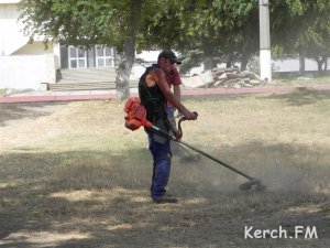 Новости » Общество: Керчан просят скосить траву на прилегающих территориях
