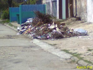В Керчи рядом с жилыми домами растет мусорная свалка