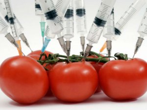 Для Крыма приобрели оборудование для выявления антибиотиков и ГМО