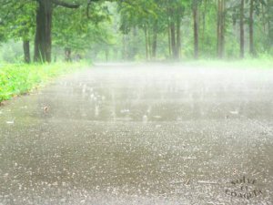 Новости » Общество: На неделю в Крыму прогнозируют жару и дожди