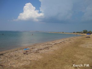 Новости » Экология: Назначены экологи, которые ответят за экобезопасность строительства керченского моста