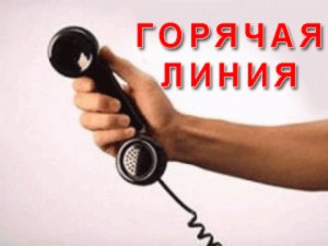 Новости » Общество: В Крыму для абитуриентов заработала «горячая линия»