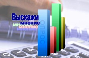 Правительство Крыма интересуется качеством работы городских властей (опрос)