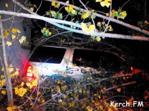 Новости » Криминал и ЧП: В Керчи ночью на автомобиль упало дерево
