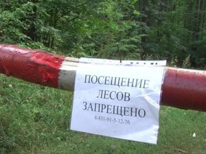В Крыму закрыли леса для посещения