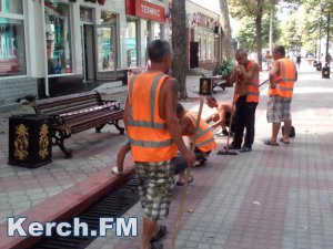 Новости » Общество: В Керчи на улице Ленина красили скамейки